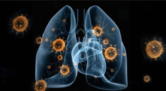 如何看待新型冠状病毒